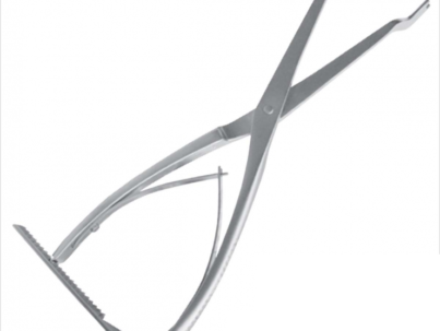 09-770-.png